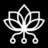 Introducción al proyecto Pollinations.AI